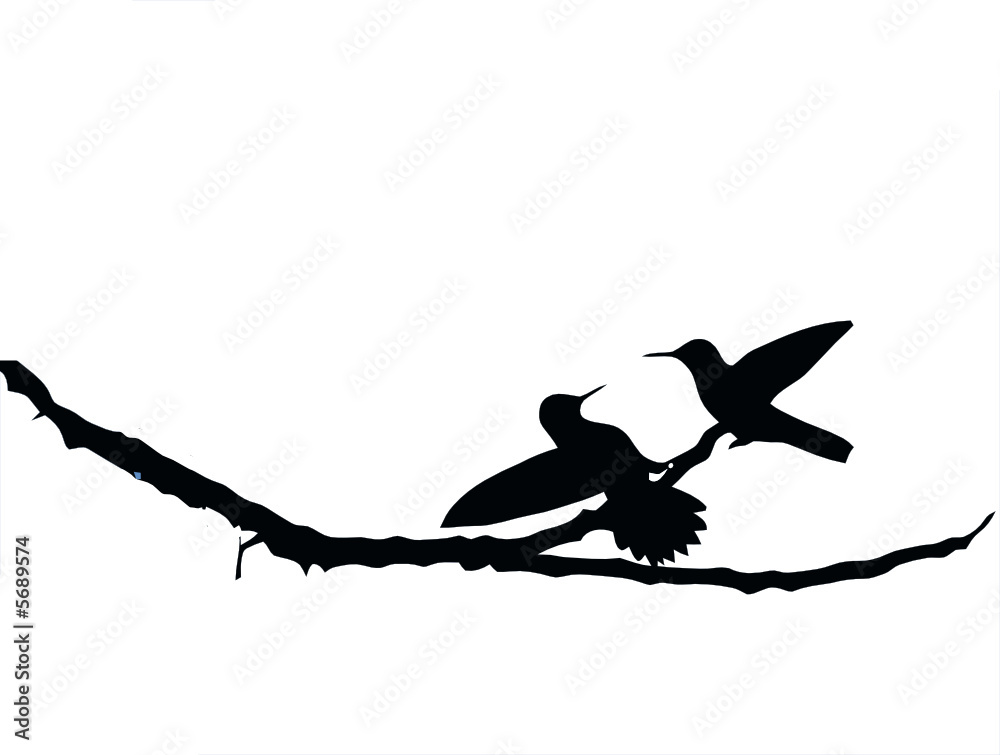 aves
