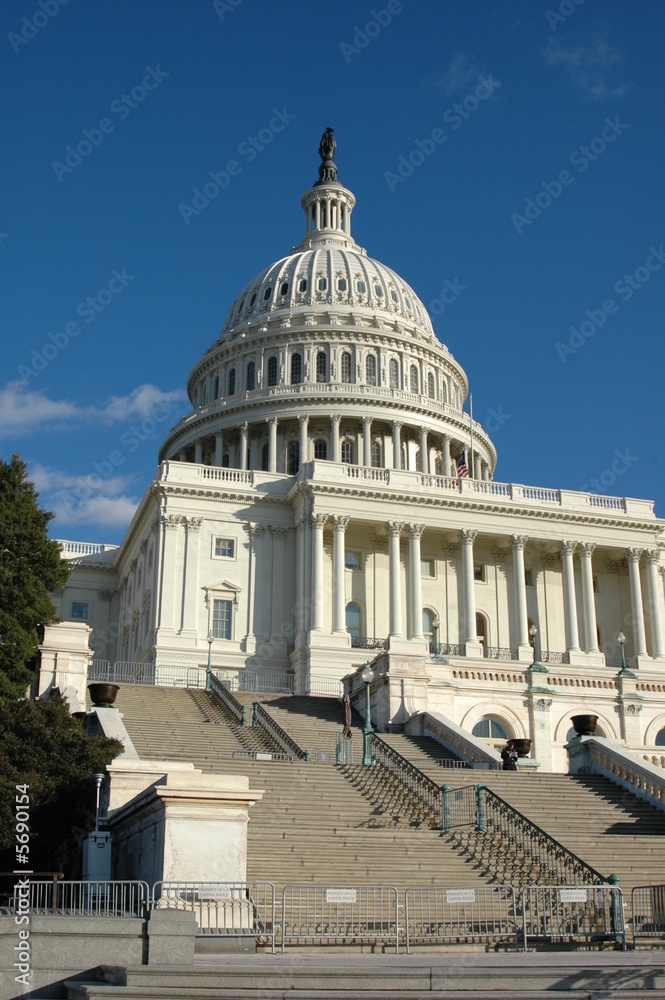 Obraz premium Capitol Building