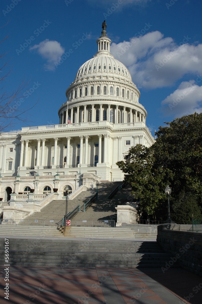 Obraz premium Capitol Building