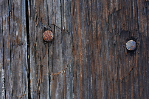 a macro picture of old wood and nail