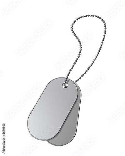 Blank military dog tags on a white background.