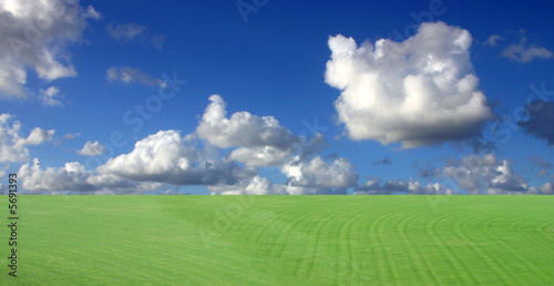 Grass and gorgeous sky panorama!