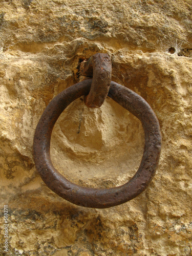 argolla photo