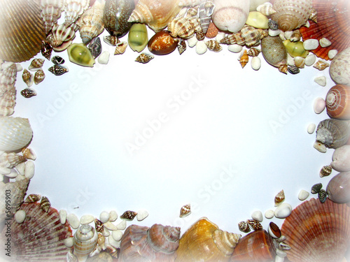 a colourful seshell border
