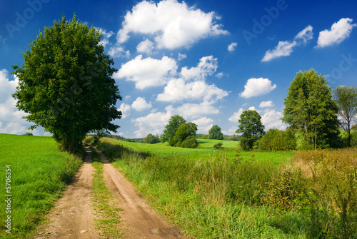 Lonely tree near country road. Mazury, Poland. #5706354