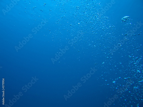 Bubbles from a scuba diver rising to the surface