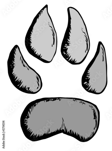 pata