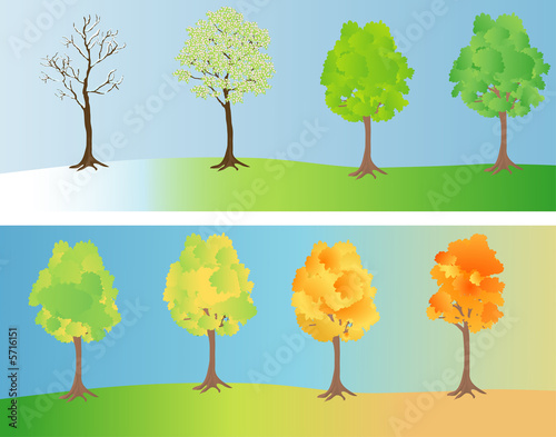 A tree depicted at different seasons