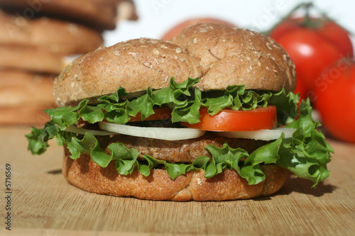 Vegetarian Soy Burger © JJAVA