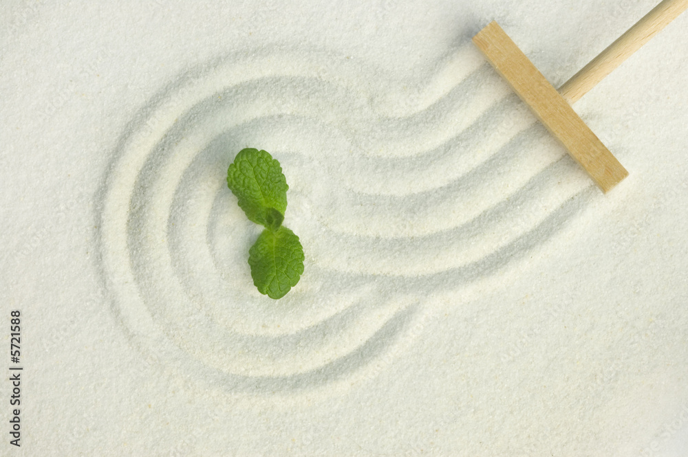 Green leaf on raked white sand of a zen garden - obrazy, fototapety, plakaty 