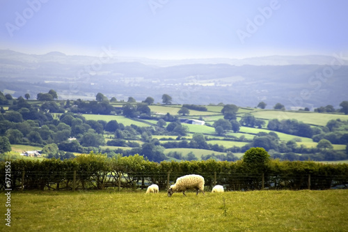 View from the offas dyke long distance footpath hergest ridge  photo