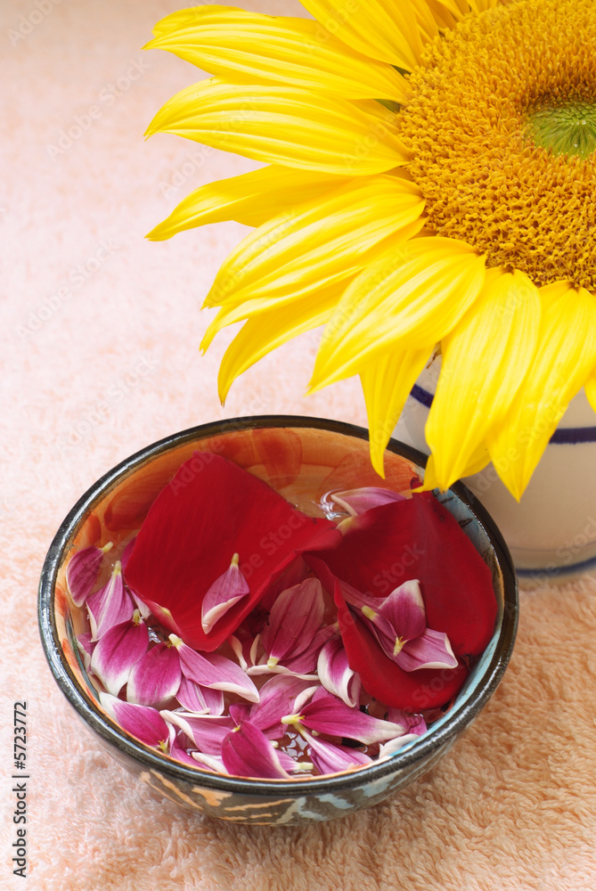 Aromatherapy flower petals in water bowl and sunflower Aromatherapy flower petals in water bowl and sunflower