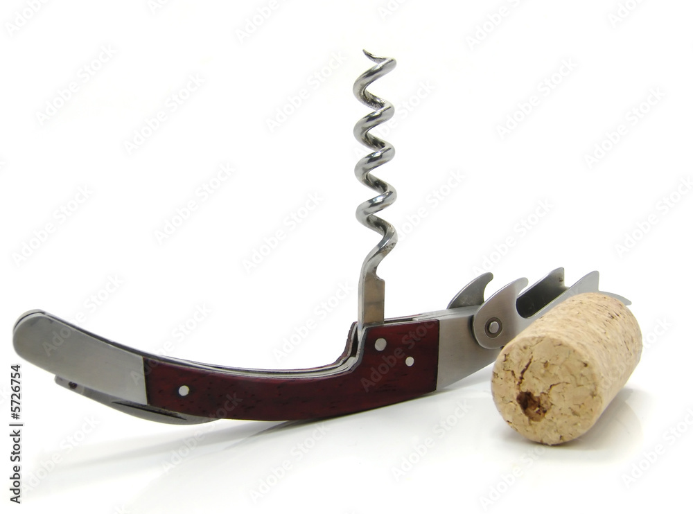 Corkscrew and fuse on a white background Corkscrew and fuse on a white background