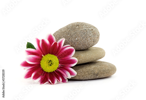 zen spa stones with flowers