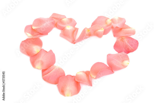 Heart shape made of pink rose petals over white
