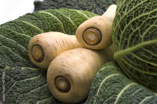 yellow radish on cabbage leaf