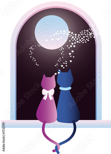 chats amoureux