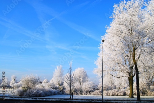 Asphalt road, lamp, trees snow and blue sky 