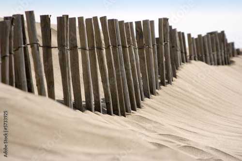 Erosion du littoral : ganivelles de protection des dunes photo