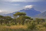 Kenya : parc Tsavos : épineux, montagne et nuages
