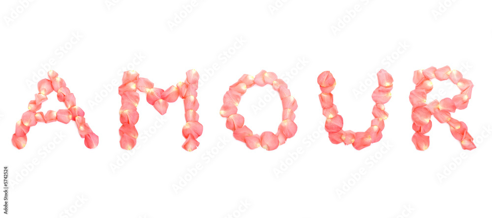 Amour word arranged from pink rose petals over white