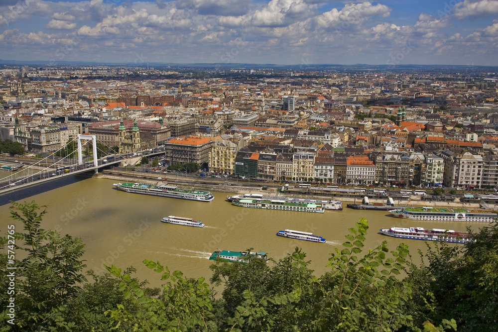 Fototapeta premium budapest : danube et pont elisabeth