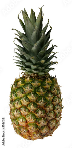 Pineapple