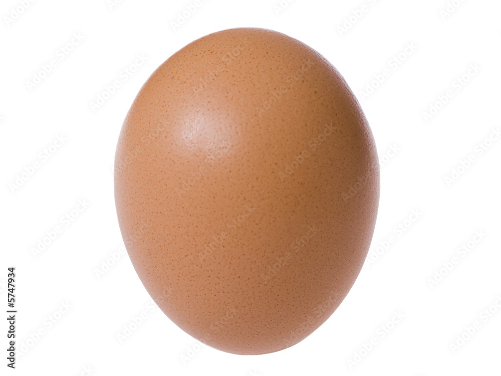 Standing brown egg isolated over the white background Standing brown egg isolated over the white background