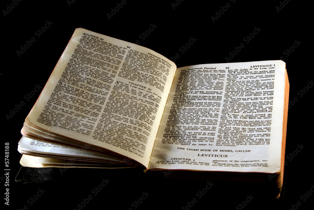 Obraz premium bible series leviticus