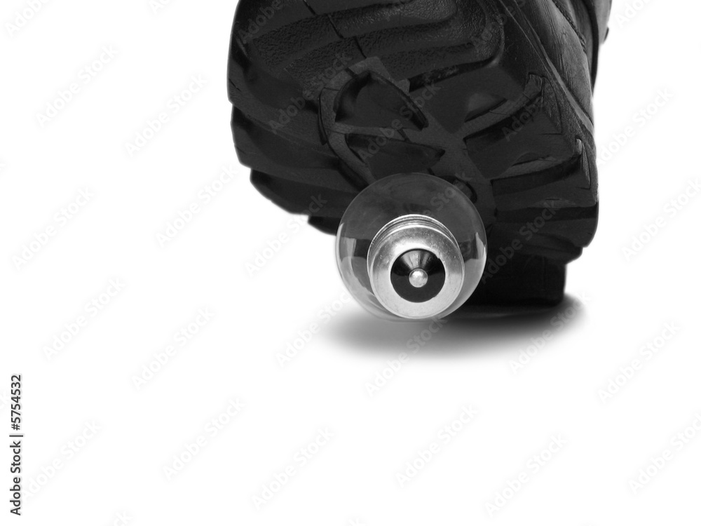 Fototapeta premium press