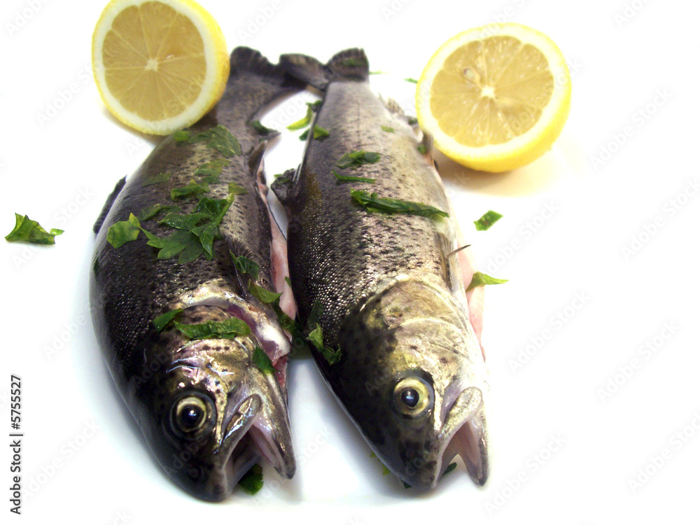 fish fish