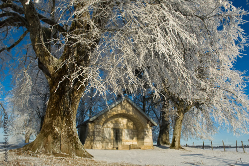 petite chapelle sous les grands arbres et la neige