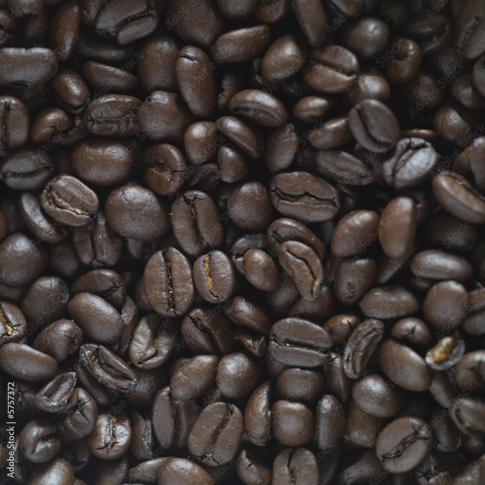 Fototapeta premium studio close up of hundreds of coffee beans