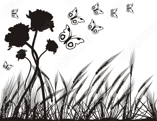vector nature illustration
