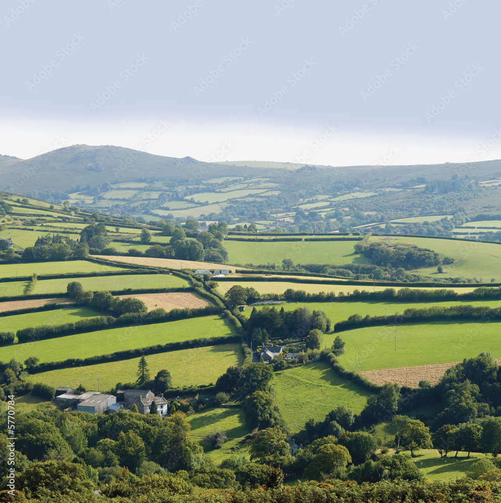 Obraz premium dartmoor devon england uk