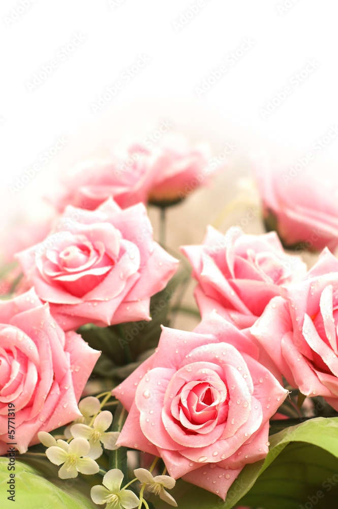 Wedding and Valentine concept with many pink roses