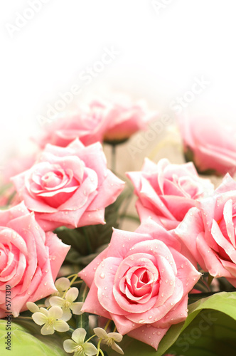 Wedding and Valentine concept with many pink roses