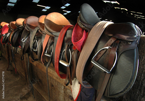 Saddles in the barn