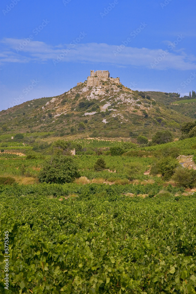 roussillon : chateau cathare d'aguilar