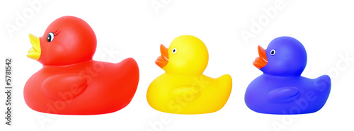 Isolated shot of 3 rubber ducks.