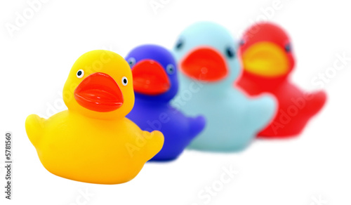 Isolated shot of four rubber ducks, focus on front duck.