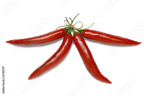 Four Red Chillies