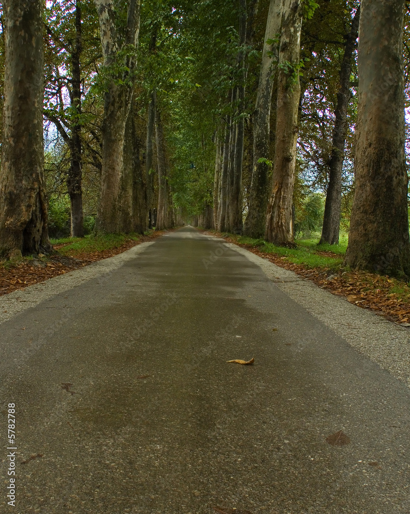 Naklejka premium infinite 