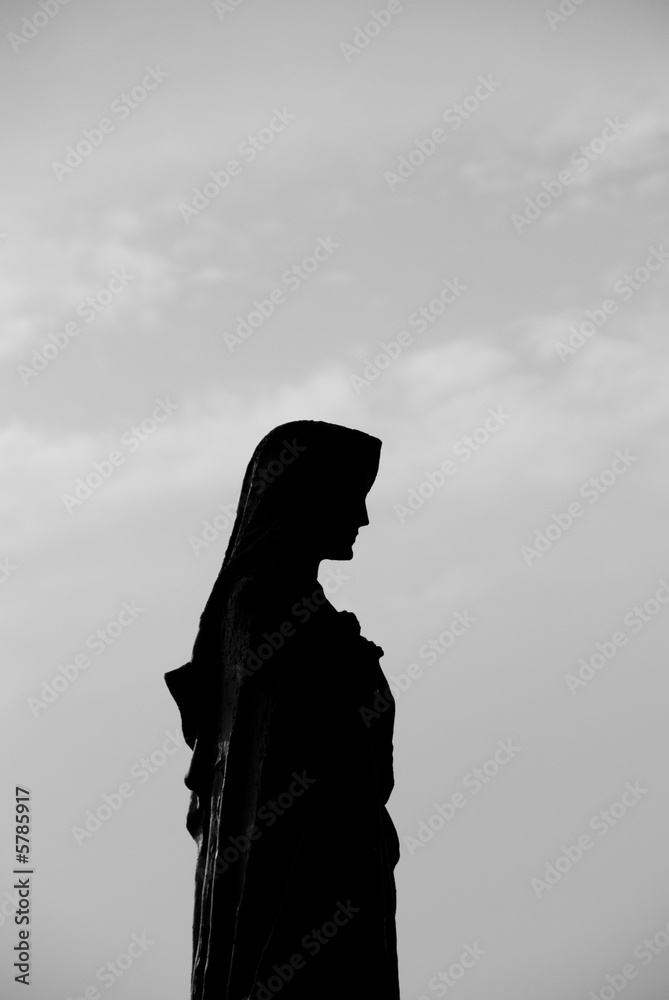 Naklejka premium figure