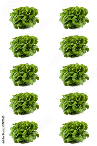 Poster de salade