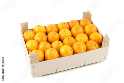 many mandarins in container