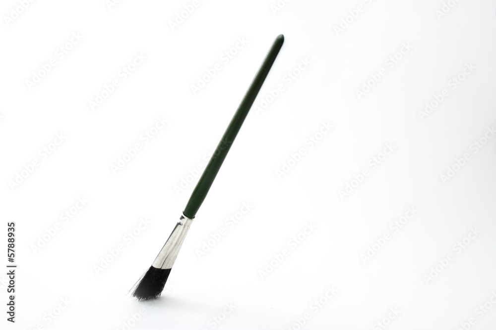 Fototapeta premium a brush