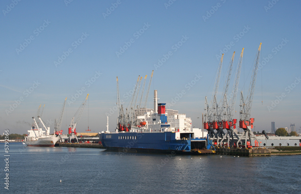 Ships and cranes in Rotterdam harbor