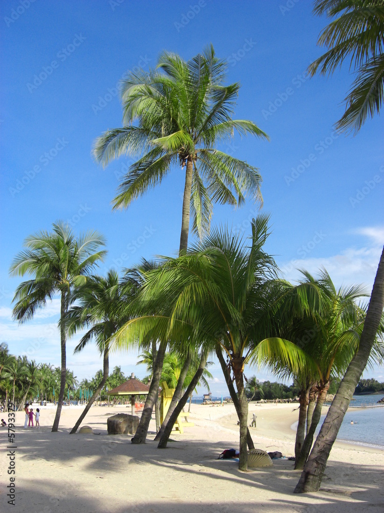 Fototapeta premium Singapore - Sentosa Island