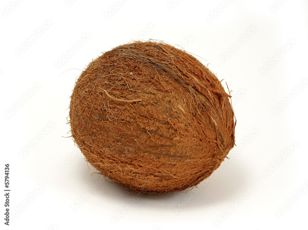 Isolated coconut Isolated coconut
